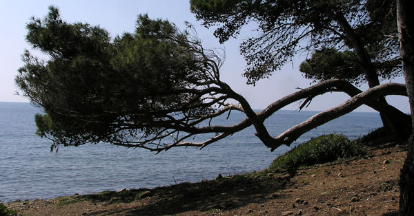 Punta Licosa, stregato dalle sirene