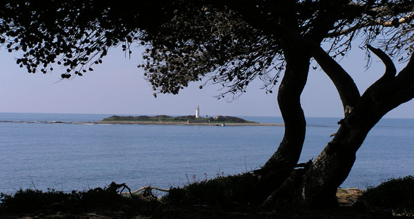 Punta Licosa, stregato dalle sirene