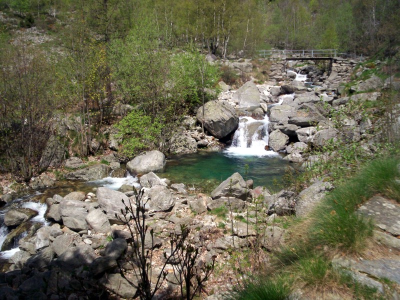 Torrente Mologna