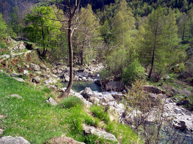 Torrente Mologna