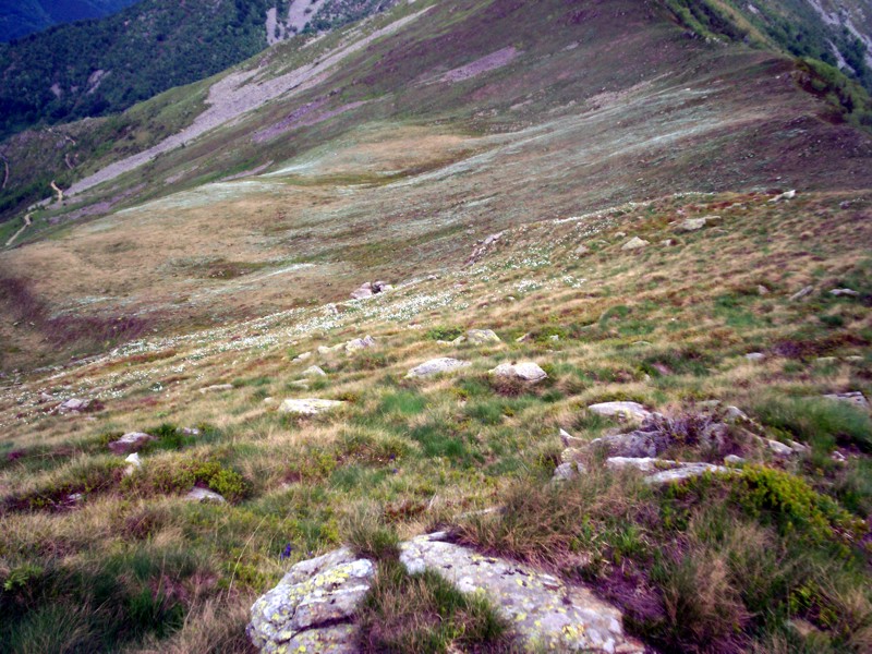 Monticchio - Colma Bella -Alpe Artignana