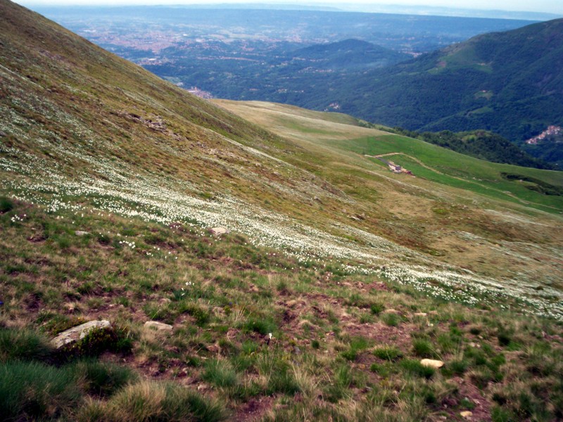 Monticchio - Colma Bella -Alpe Artignana