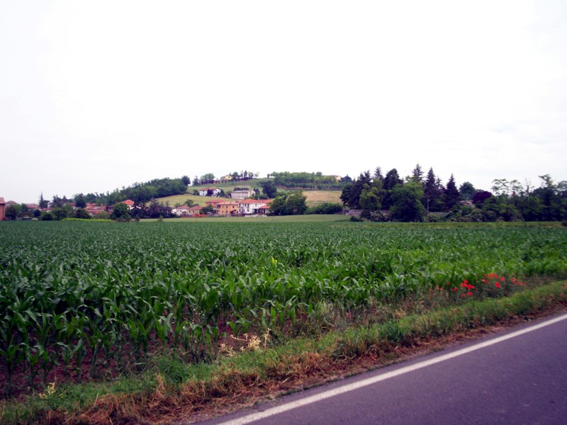 Monferrato - Casale Monferrato