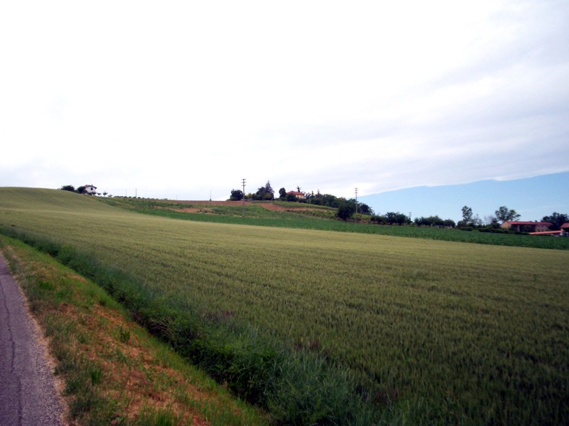 Monferrato - Casale Monferrato