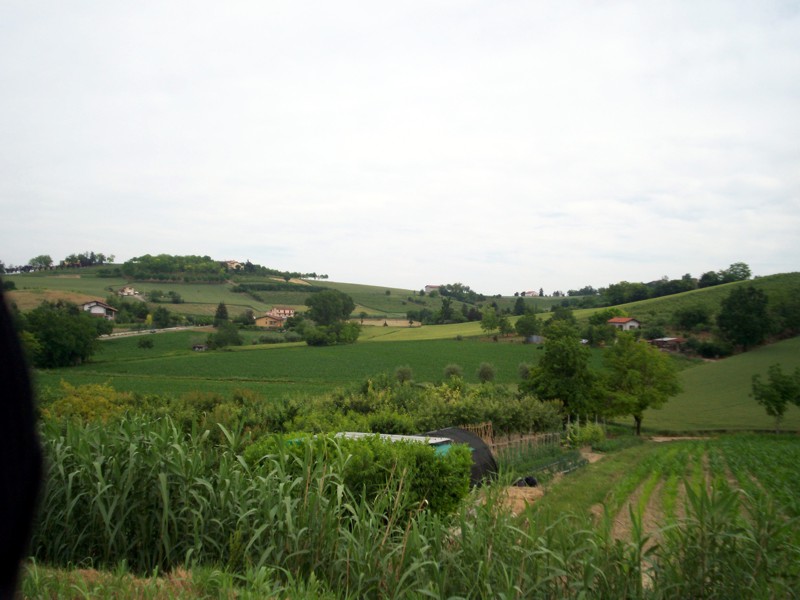 Monferrato - Casale Monferrato