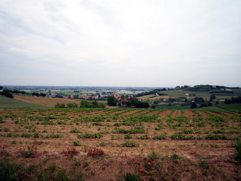 Monferrato - Casale Monferrato