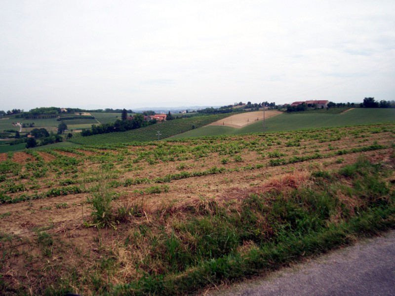 Monferrato - Casale Monferrato