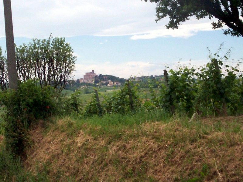 Monferrato - Casale Monferrato