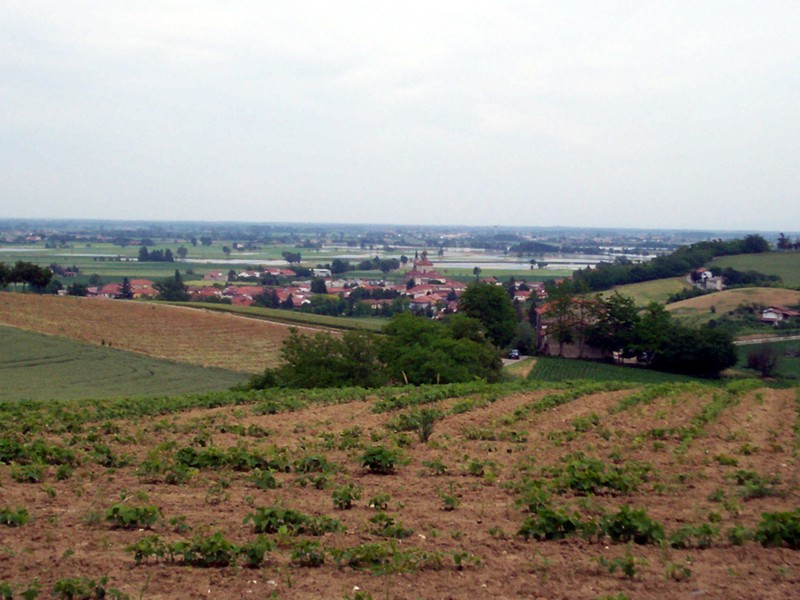 Monferrato - Casale Monferrato