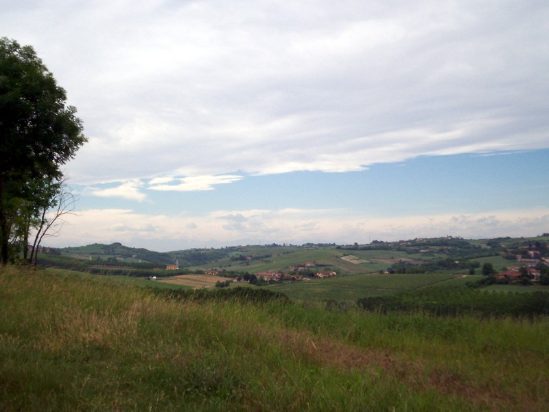 Monferrato - Casale Monferrato