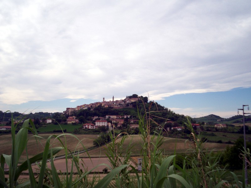 Monferrato - Casale Monferrato