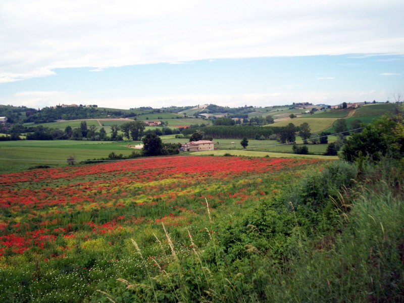 Monferrato - Casale Monferrato