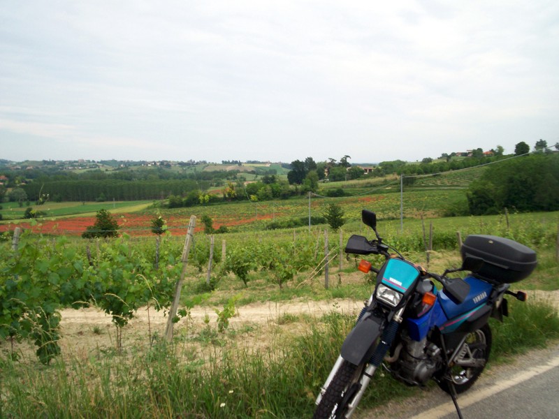 Monferrato - Casale Monferrato