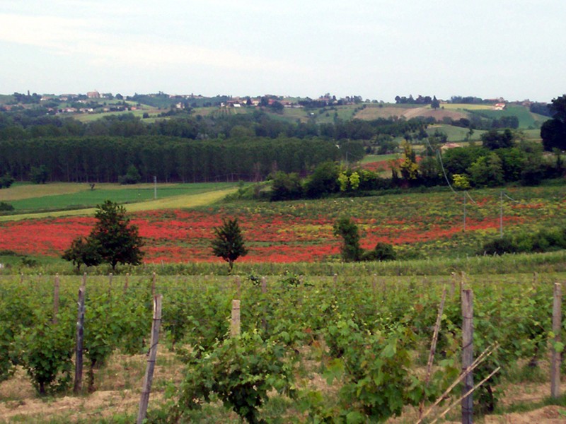 Monferrato - Casale Monferrato