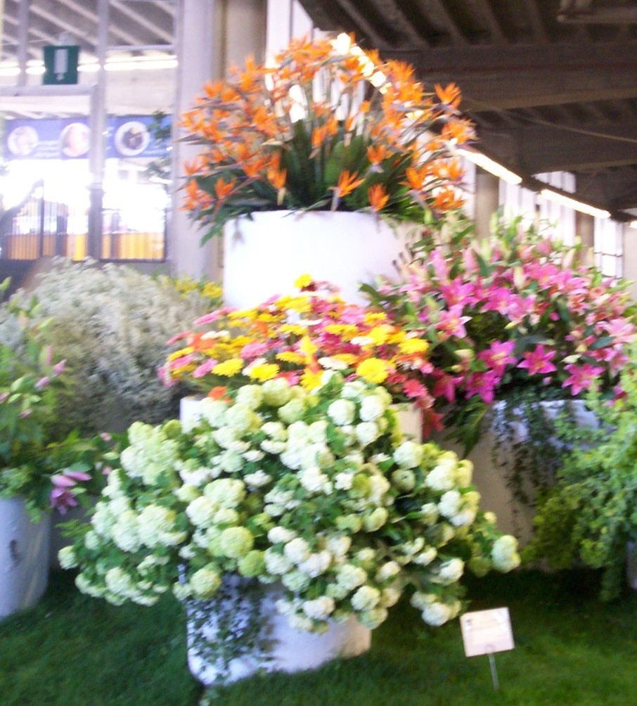 Euroflora 2006 parte 1