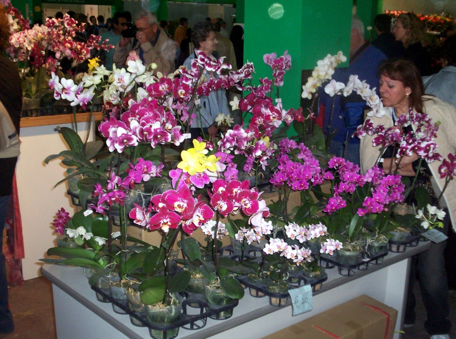 Euroflora 2006 parte 1