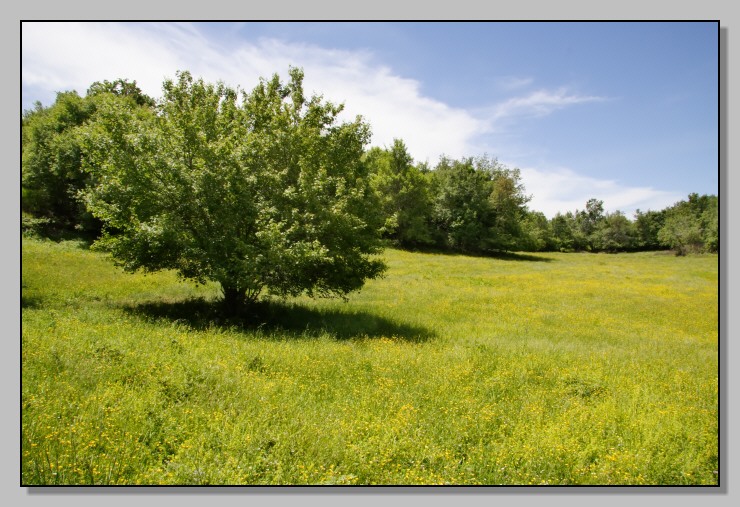 Orizzonti d''Abruzzo