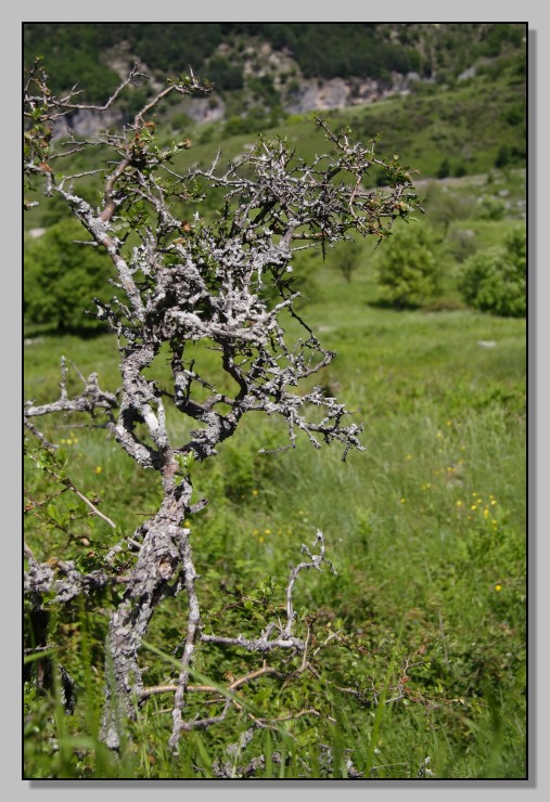 Orizzonti d''Abruzzo