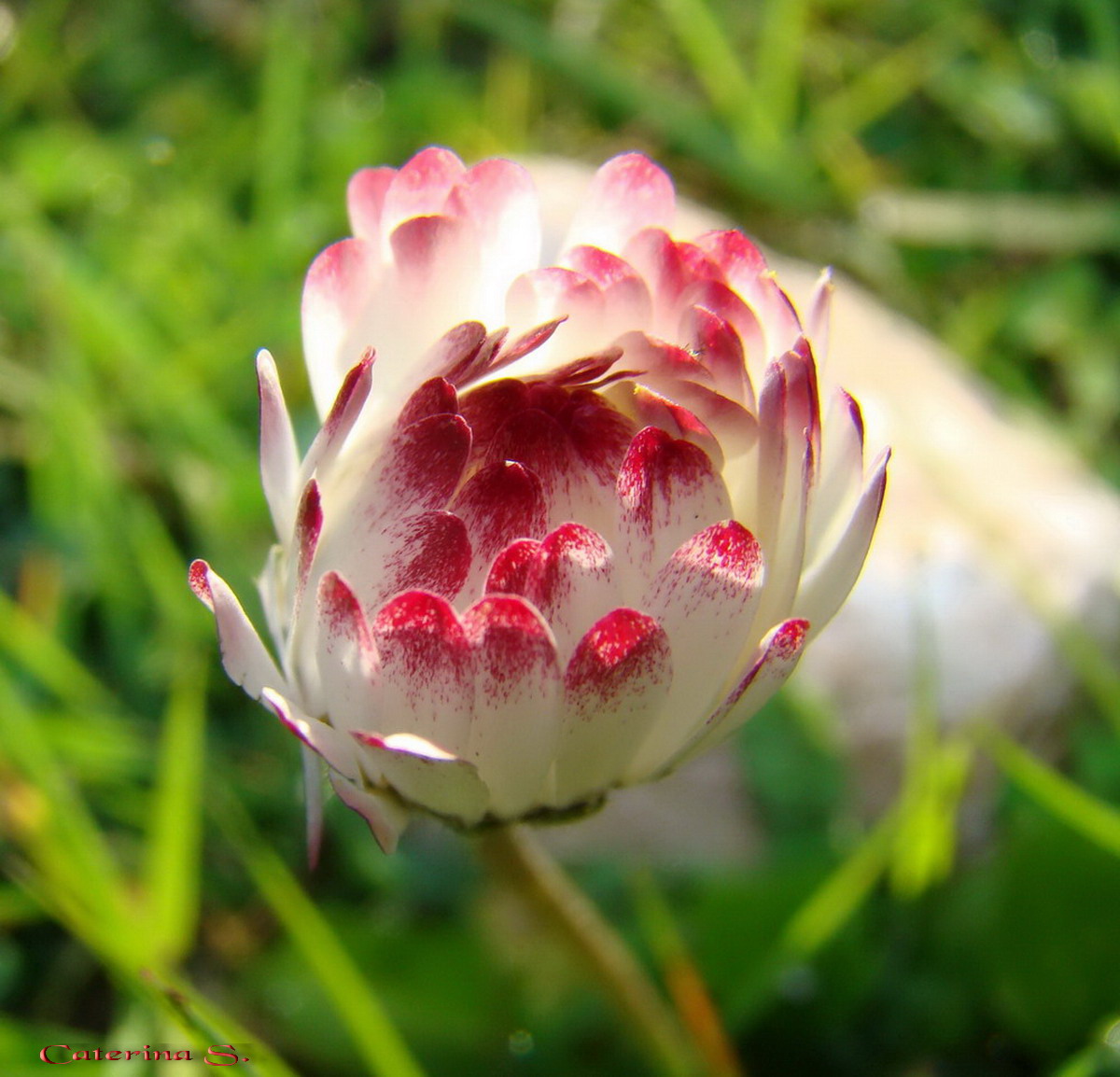 Aria di primavera...