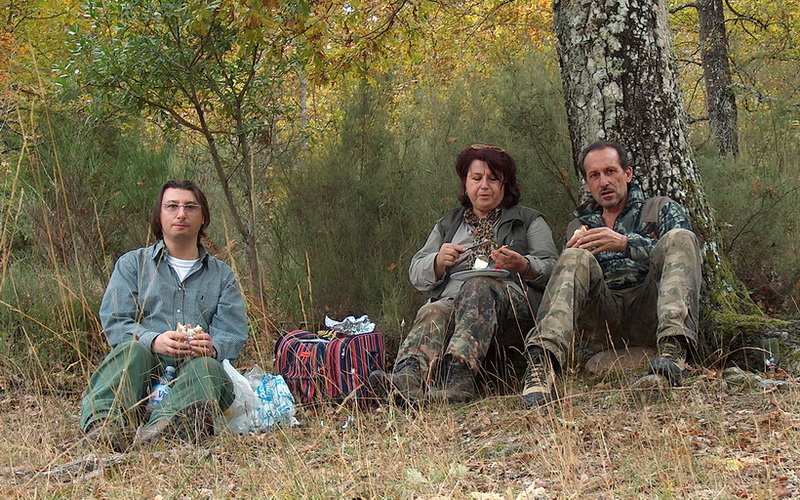 Escursione  in terra di Siena