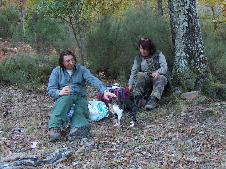 Escursione  in terra di Siena