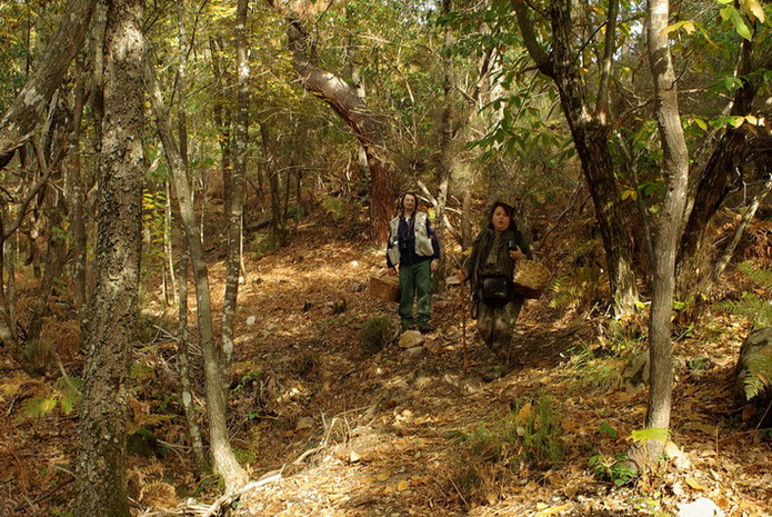 Escursione  in terra di Siena