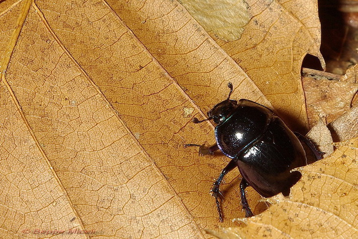 Escursione  in terra di Siena