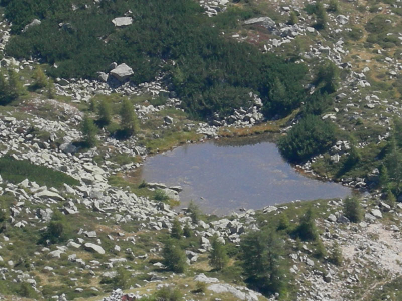 Laghi.......del TRENTINO