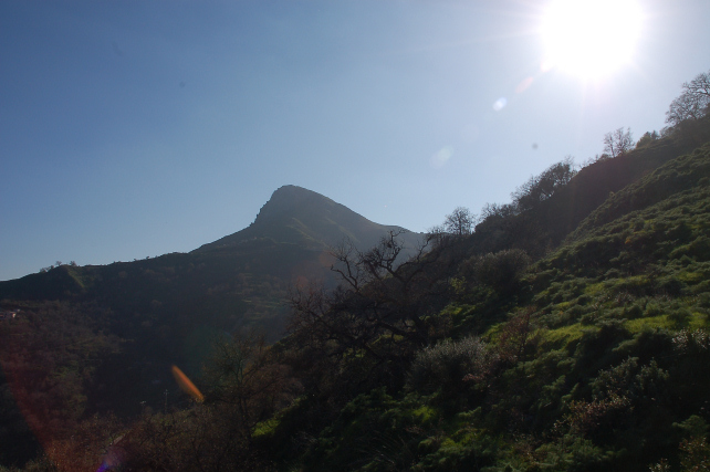 3 . Le colline di Taormina: Aphyllophorales e molto altro