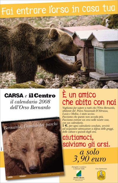 Orso Bernardo