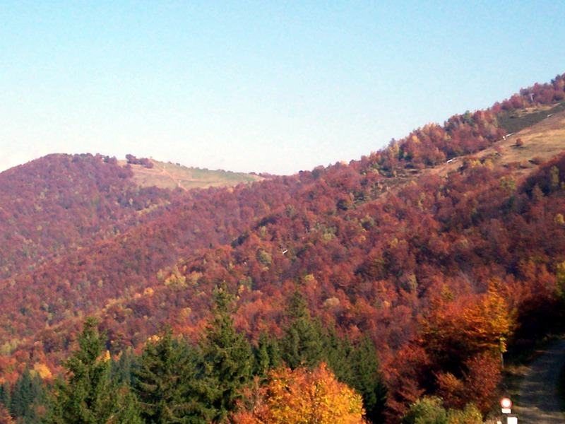 Colori autunnali in Valsessera (Biella) - parte 1