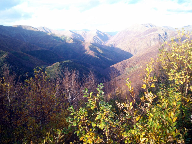 Carrellata di foto - Valle Cervo