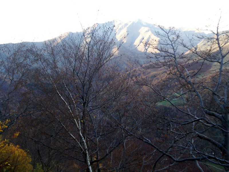 Carrellata di foto - Valle Cervo