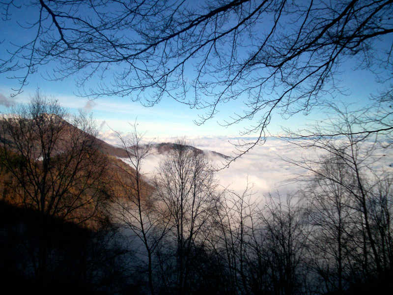 Strada panoramica Zegna