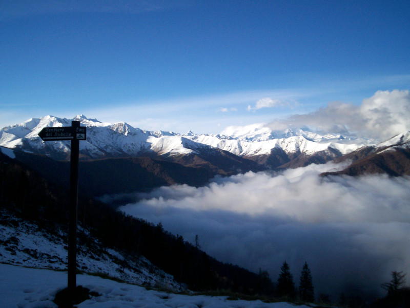 Strada panoramica Zegna