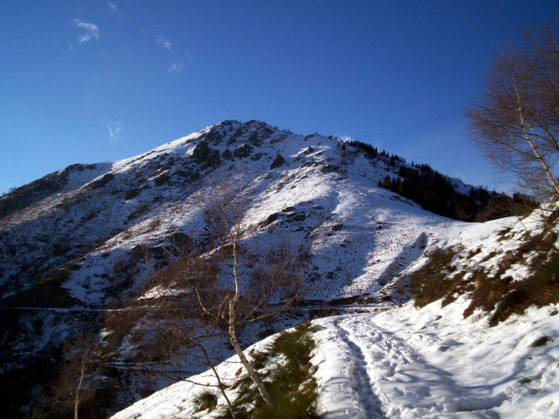 Strada panoramica Zegna