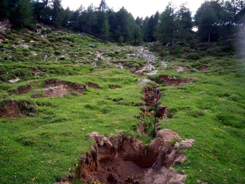 Forme e processi di erosione del suolo