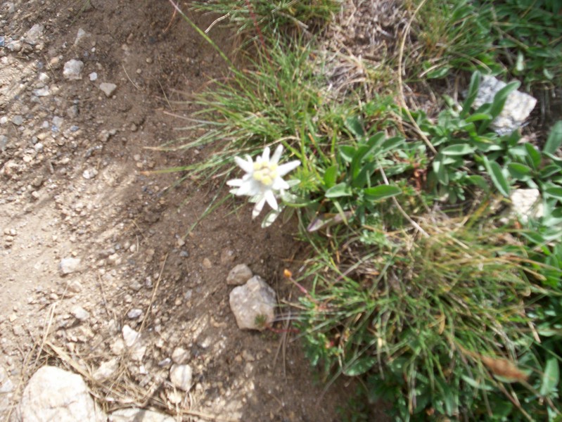 Val di Rhemes - vallone del Cussunaz