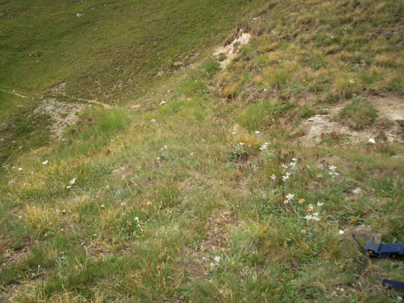 Val di Rhemes - vallone del Cussunaz