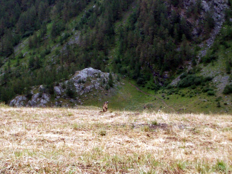 Rifugio Benevolo e lago di Golletta