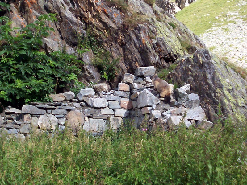 Colle finestra Val di Rhemes