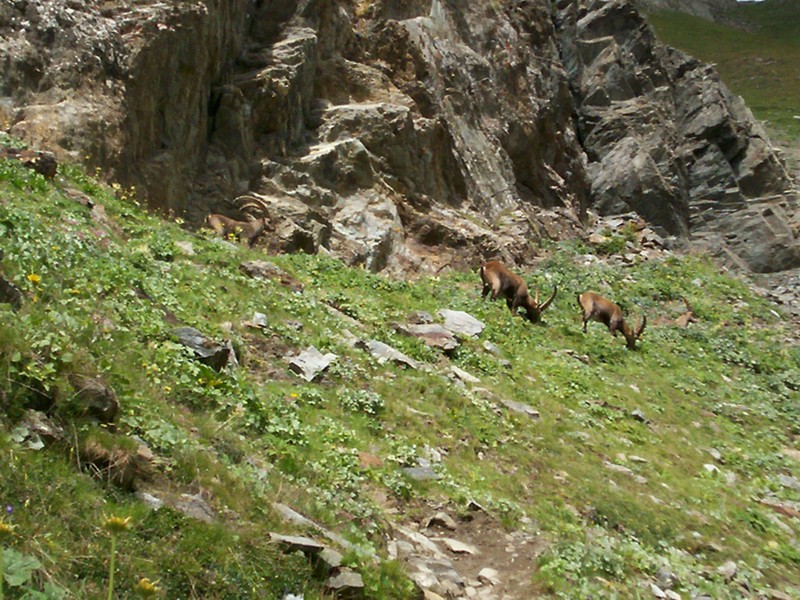 Colle finestra Val di Rhemes