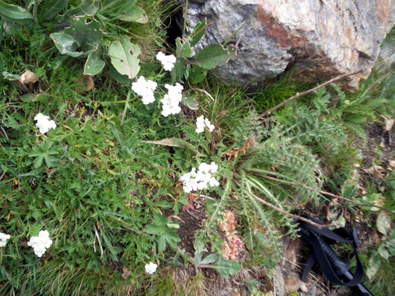 Colle finestra Val di Rhemes