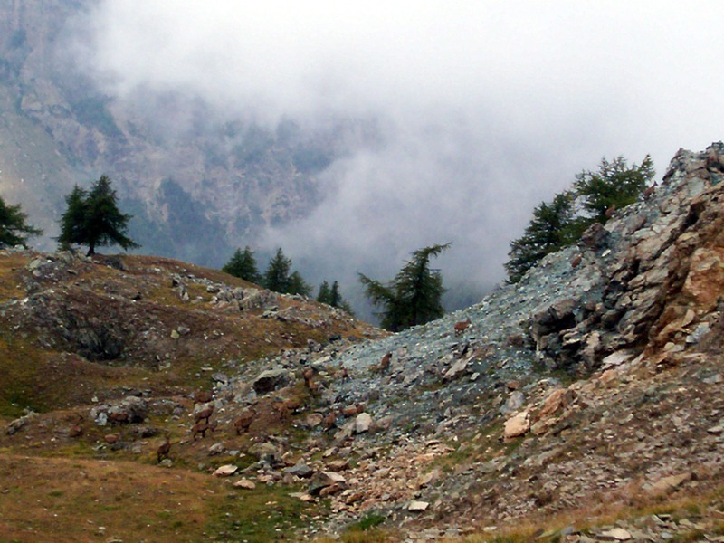 Monte Pailasse (Val d''Aosta)