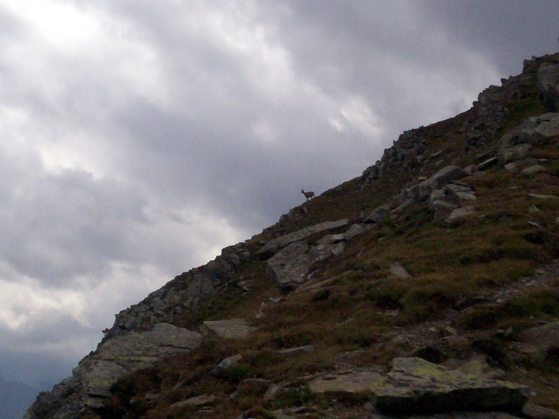 Monte Pailasse (Val d''Aosta)