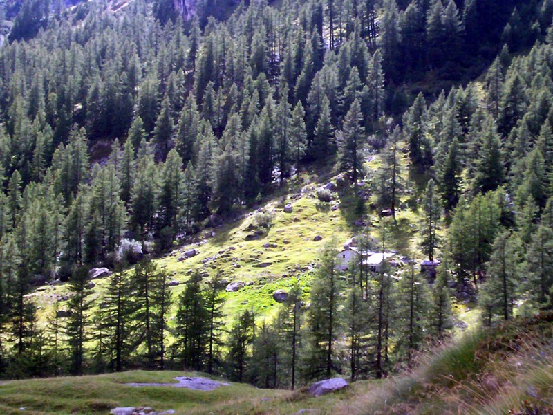 Valle di Gressoney