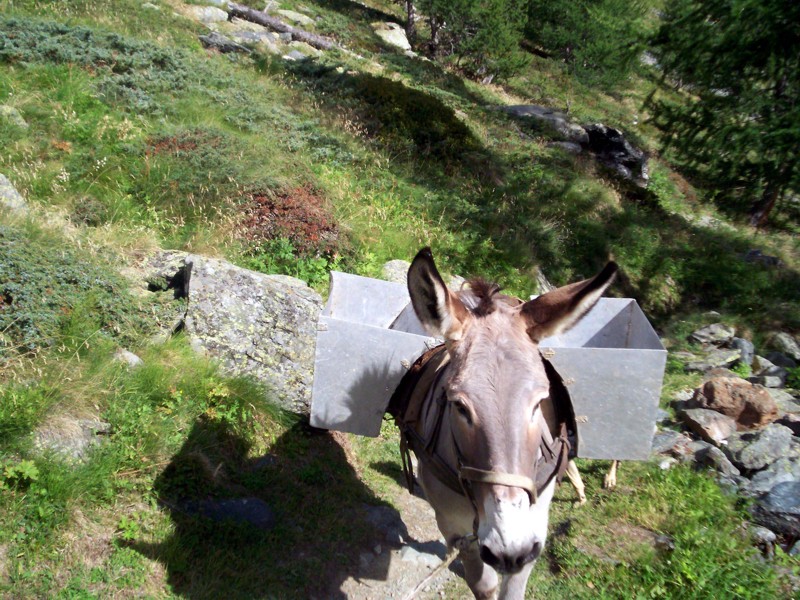 Valle di Gressoney