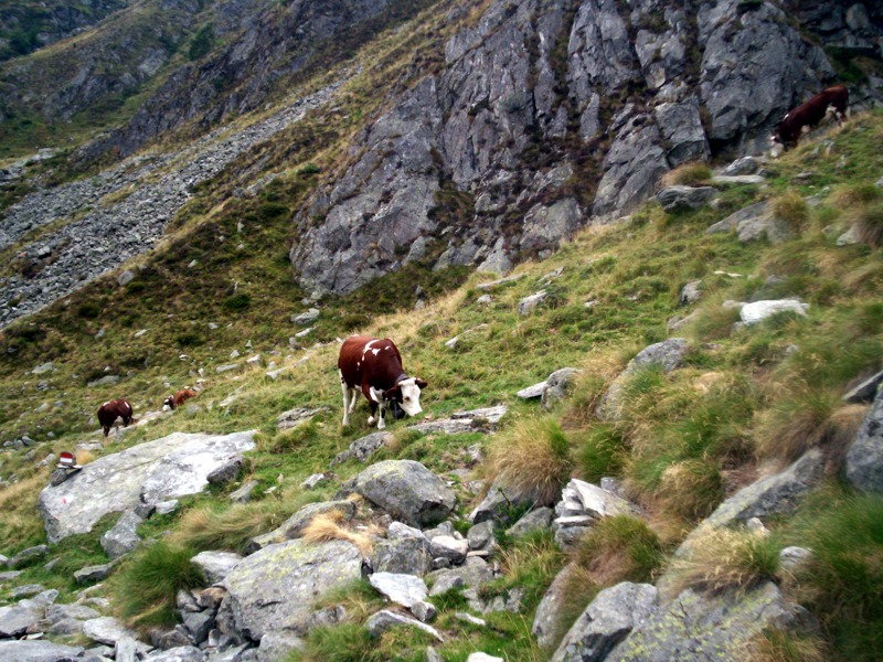 Rifugio Rivetti Valle Cervo Biella