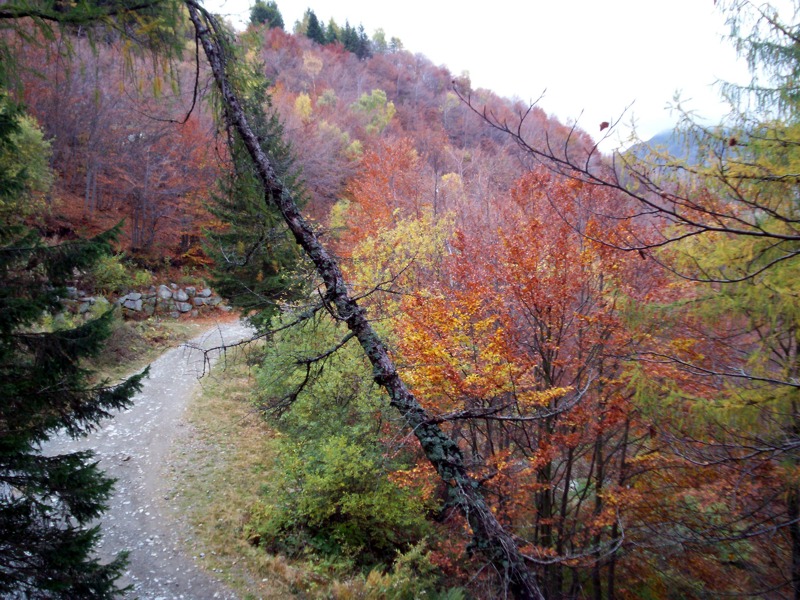 Carrellata di foto - Valle Cervo