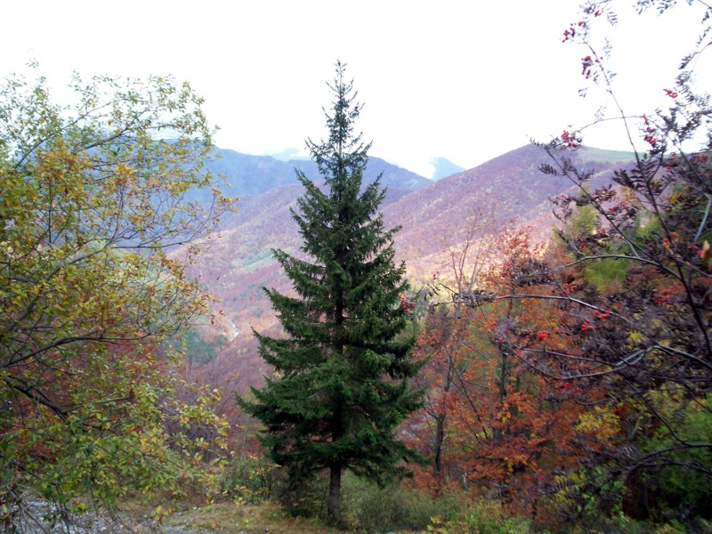 Carrellata di foto - Valle Cervo